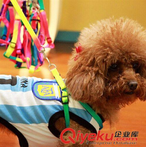 寵物牽引帶 廠家批發布質寵物牽引帶 泰迪貴賓中大型犬金毛牛仔布狗狗牽引繩