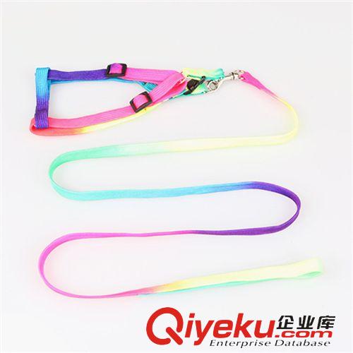 寵物牽引帶 代理加盟 tj泰迪七彩牽引胸背帶繩彩虹寵物牽引繩原始圖片3