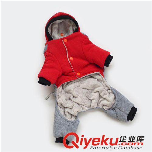 寵物衣服秋冬裝 2015秋冬寵物服飾幼犬小型犬服裝 四腳連帽比熊泰迪衣服 斑馬棉服原始圖片3