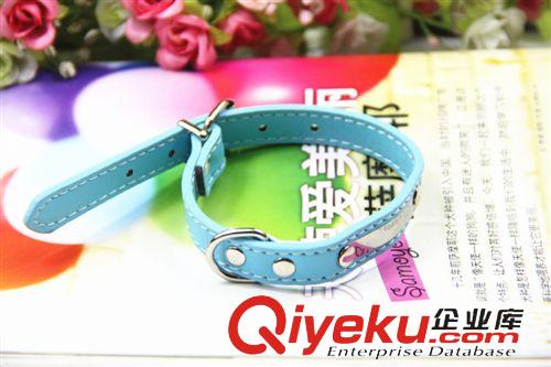 寵物牽引繩 可刻字項(xiàng)圈 寵物防走失頸圈 貓狗脖套 小型犬飾品 寵物用品原始圖片3