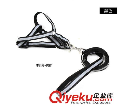 牽引繩項圈 狗帶 寵物胸背小號1.0反光遛狗扁帶 大小可調節原始圖片2