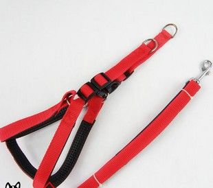 牽引繩項圈 2.5大型犬用寵物胸背帶 舒適軟襯丙綸泡棉牽引繩 三色 牽帶原始圖片3