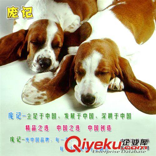 美國(guó)dogstory 幼犬發(fā)育寶100g  美國(guó)dogstory 寵物狗{zj0}營(yíng)養(yǎng)品 高吸收 促生長(zhǎng)