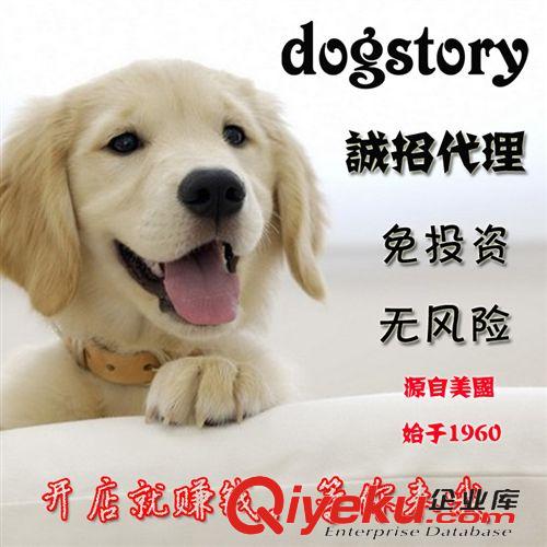 鏈子牽繩 四米伸縮鏈 狗狗牽引繩 自動(dòng)牽引繩 德國款 限20公斤原始圖片2