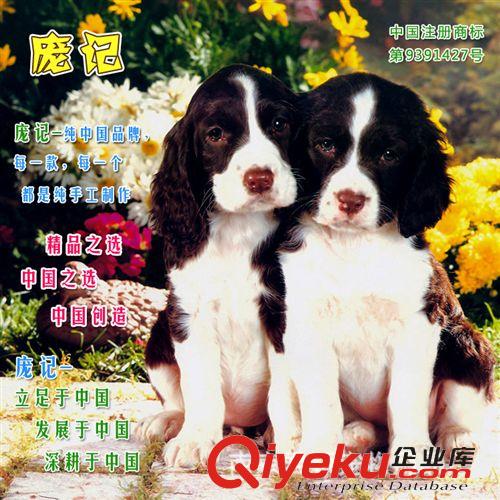 鏈子牽繩 四米伸縮鏈 狗狗牽引繩 自動(dòng)牽引繩 德國款 限20公斤原始圖片3