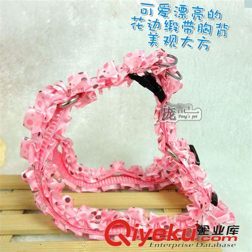 鏈子牽繩 花邊胸背  牽引帶 出口級(jí)優(yōu)質(zhì)寵物鏈 狗背帶  廠家直銷(xiāo)原始圖片2