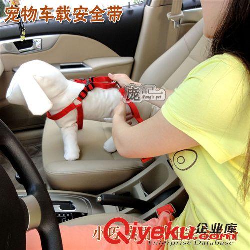 鏈子牽繩 安全帶2.0cm 汽車固定帶 寵物車用安全帶 狗牽引帶  另有寵物車墊原始圖片2