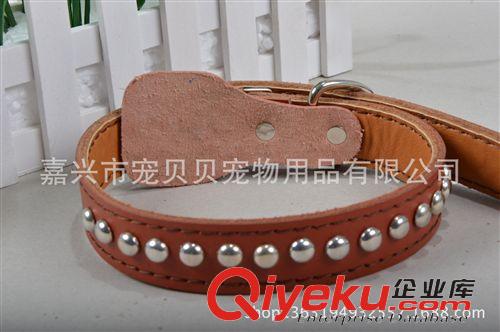 寵物項圈 廠家直銷 寵物用品真牛皮寵物項圈 大號雙排牛皮狗項圈