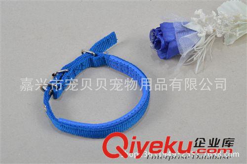 寵物項圈 新款上市 寵物泡棉狗項圈 滌綸彩色泡棉狗項圈原始圖片2