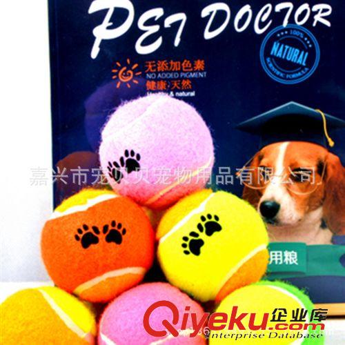 寵物項圈 熱銷爆款 尼龍寵物貓項圈 寵物博士狗頸圈寵物用品