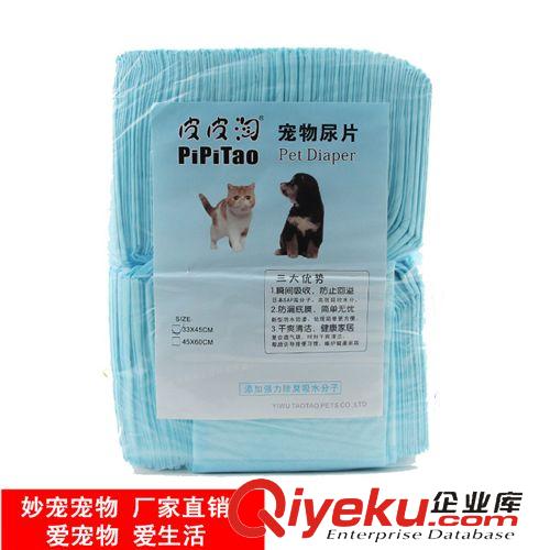 皇家狗糧重磅推薦 現貨批發 Royal Canin 皇家貓糧 K36(12月齡以下)幼貓貓糧10kg