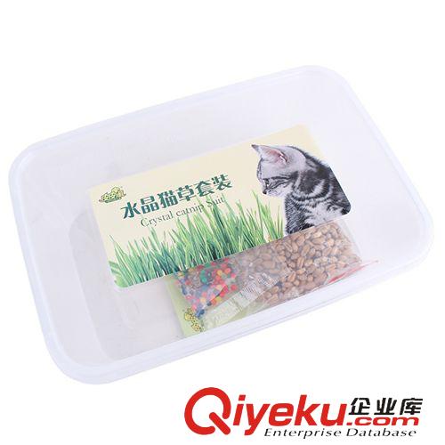 皮皮淘-喵星人專區 水晶貓草 貓草種子種植套裝 tr貓薄荷貓零食 吐毛球助消化