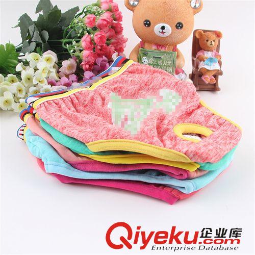 皮皮淘-服飾系列 爆款 廠家直銷 純棉寵物生理褲 母狗衛(wèi)生褲 寵物服裝衣服批發(fā)原始圖片2