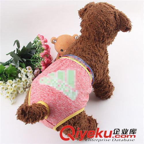 皮皮淘-服飾系列 爆款 廠家直銷 純棉寵物生理褲 母狗衛(wèi)生褲 寵物服裝衣服批發(fā)原始圖片3