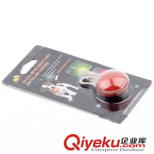 皮皮淘-訓導系列 第二代軟膠發光LED寵物吊墜 閃光圓形狗牌子 寵物用品批發原始圖片2