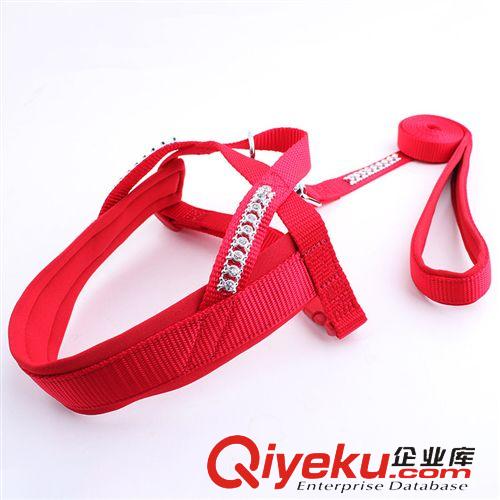 金熊貓牽引系列 現(xiàn)貨批發(fā) 高品質(zhì)金熊貓三角舒適胸背拉帶 優(yōu)質(zhì)寵物牽引繩原始圖片2