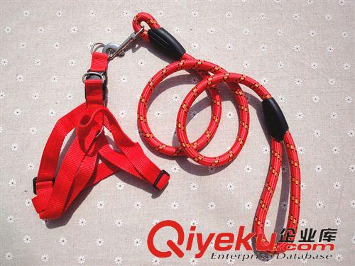 皮皮淘牽引系列 寵物用品批發(fā) 皮皮淘 細(xì)紋圓繩寵物牽繩 牽狗帶原始圖片2