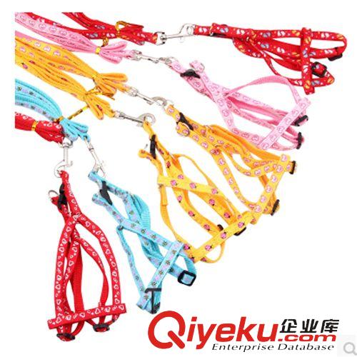 皮皮淘牽引系列 寵物用品批發(fā) 大狗胸背帶 牽引帶 大型犬工作犬用狗繩 2.5