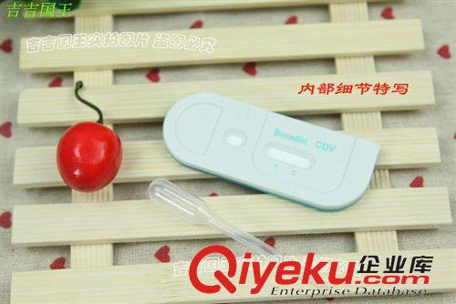 醫療器械用品 批發寵物藥品 韓國BIT犬瘟試紙 CDV犬瘟熱試紙 犬瘟病毒試紙原始圖片3