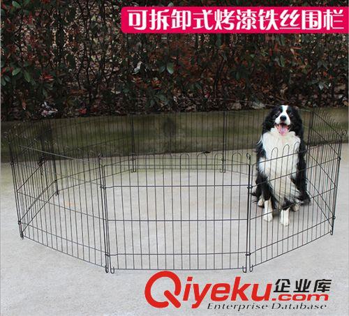 寵物日用品區 寵物用品 博偉吹風機 寵物吹風機 貓狗大功率2200W吹風機狗吹毛機