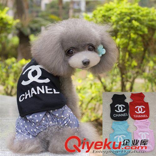 2015年3月新品 60154寵物訓導用品 訓練狗口哨 犬笛 犬哨 寵物狗笛超聲波犬笛
