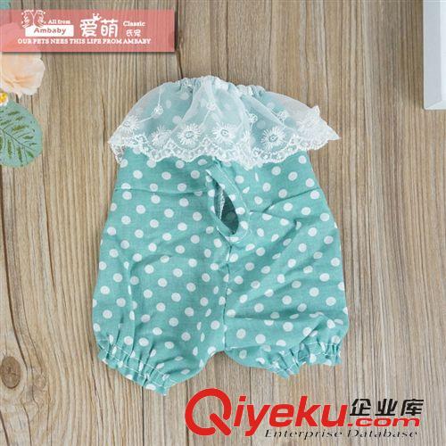 2015年3月新品 Ambaby春夏裝2015新款 寵物圓點生理褲 寵物狗狗衣服原始圖片2