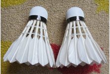 沃瀛運動系列 YUZHOU/羽宙羽毛球YZ116 細枝一級 手感好穩定 訓練球廠家直銷原始圖片3