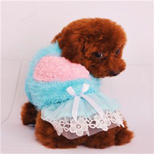 寵物服飾配件 秋冬新款寵物衣服 狗狗衣服 玉米粒套頭愛(ài)心背心 兩色混批原始圖片3