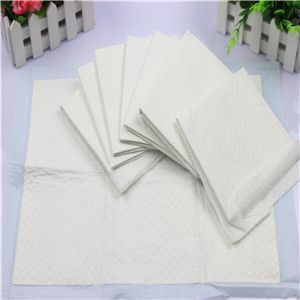 寵物清潔用品 寵物用品批發(fā) 供應40*50寵物一次性尿墊 寵物狗狗尿片kj除臭原始圖片2