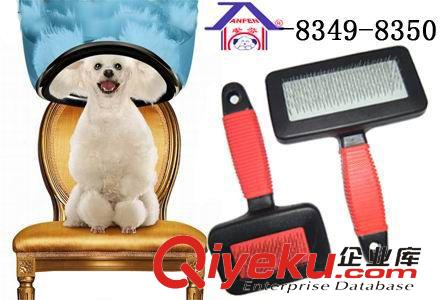 寵物美容工具系列 寵物用品研發(fā)生產(chǎn)出口批發(fā)代理代發(fā)手指塑料頭牙刷 -8306寵物刷