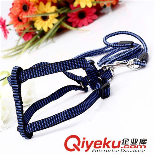 牽引項圈 tj批發 加固七彩寵物胸背牽引帶 小狗鏈 小型犬胸背帶 狗牽引繩