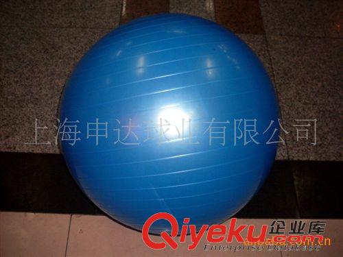 其他按摩器材 【廠家直銷】供應pvc充氣健身球，健身am球