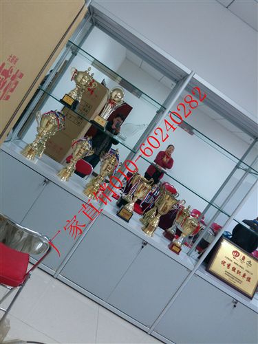 珠宝工艺品展柜 文具展柜 器材展柜 学校用品展柜 玩具展示柜 家具用品展架  直销