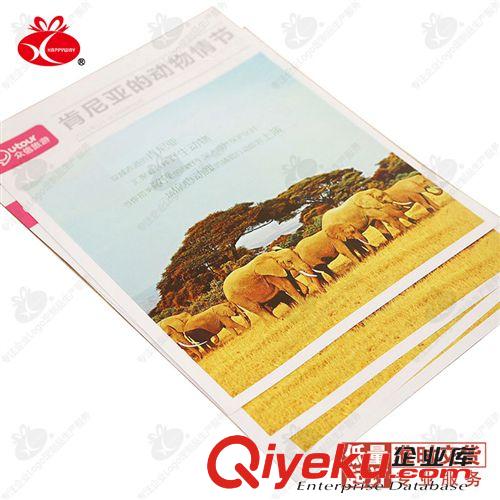 印制品定制 企業宣傳單頁1202002 500個禮品定制可印Logo企業創意廣告品定制