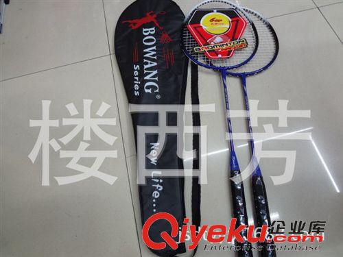 羽毛球拍 羽毛球拍300一體球拍原始圖片3