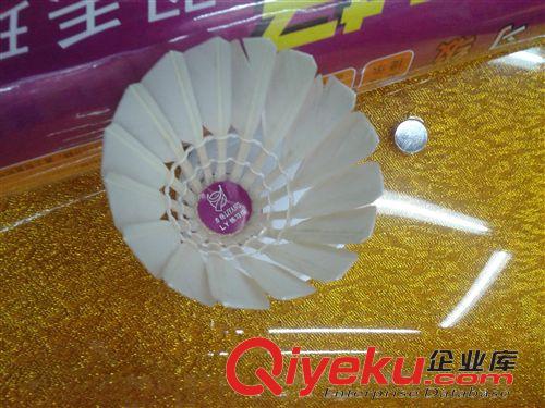 羽毛球 批發塑料羽毛球0301