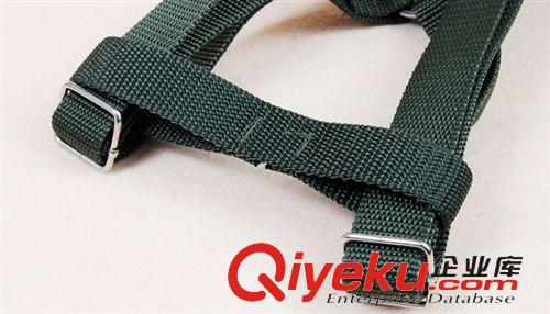 牽引胸背鏈 寵物用品 寵物鏈繩 軍綠寵物狗牽引繩胸背帶 中大型犬用 2.5CM寬原始圖片2