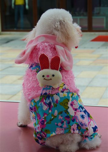 寵物服飾 寵物狗衣服米棕條紋小猴背帶褲 粉灰條紋小熊 犬服裝四腿秋裝批發原始圖片3