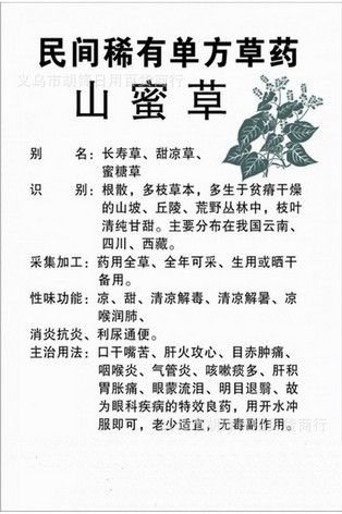 植物原藥材 山密草 山密茶 長壽草 花蜜茶 烏龍茶 毛冬青 羅漢果花茶 三和茶原始圖片3