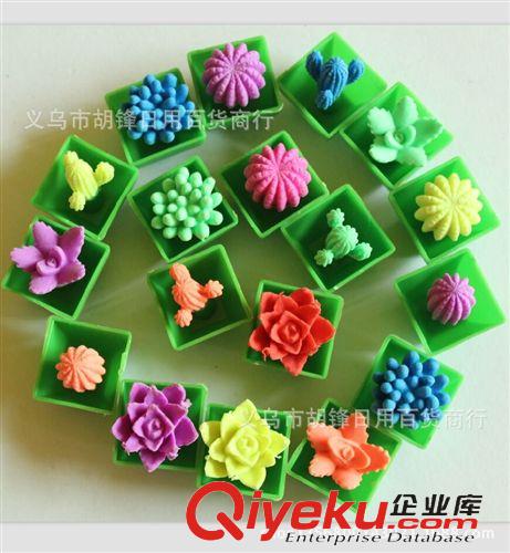 其他益智玩具 夏季熱賣產(chǎn)品 膨脹仙人掌植物 海洋寶寶動(dòng)物泡水玩具 批發(fā)原始圖片3