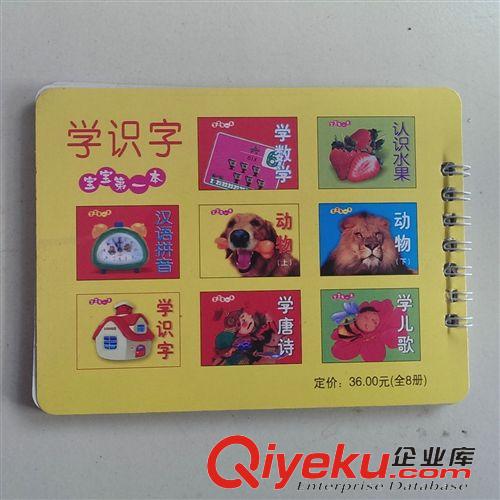 兒童益智玩具 F092   寶寶{dy}本書 認(rèn)知識(shí)字卡 啟蒙卡片讀物 幼兒教育原始圖片2