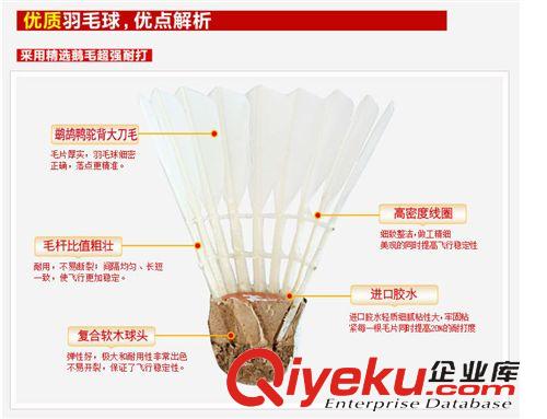 配件 批發(fā)單邊鴨毛 駝背優(yōu)質(zhì)羽毛球 12粒桶裝 OEM貼牌加工原始圖片3