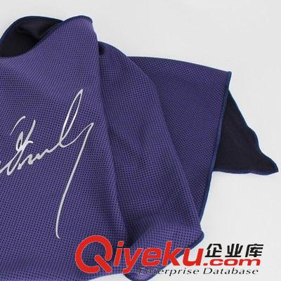 冷感布料 冷感運動布 涼感鳥眼布 coolcore面料 運動面料 生產(chǎn)廠家 批1