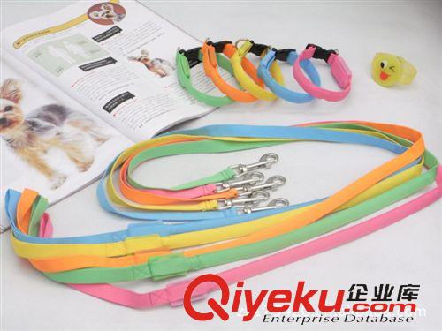 項圈+拉帶套裝 XS寵物牽引繩 發光拉帶 發光帶寵物帶 閃光項圈 長120CM寬1.5CM原始圖片2