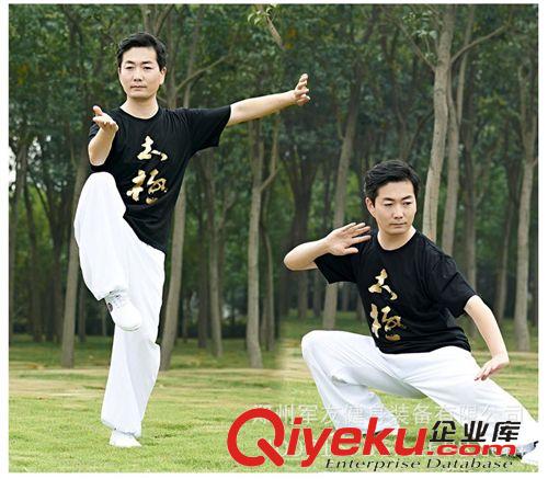 太極系列 陳家溝太極服 太極服裝 全面太極衣服 武術(shù)練功服 廠家直銷原始圖片2