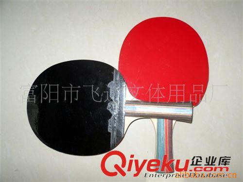 乒乓球拍 供應(yīng)各種乒乓球拍