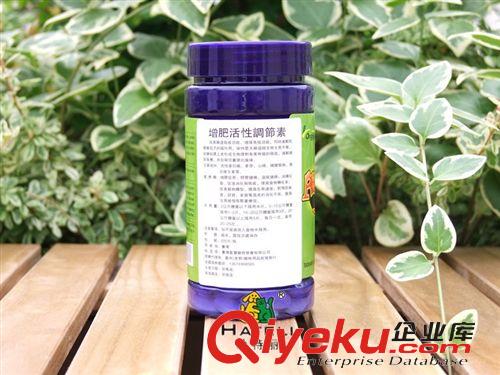 寵物鈣片營養(yǎng)品 臺灣藍寶寵物專用增肥活性調節(jié)素200片促進狗狗生長開胃消化吸收