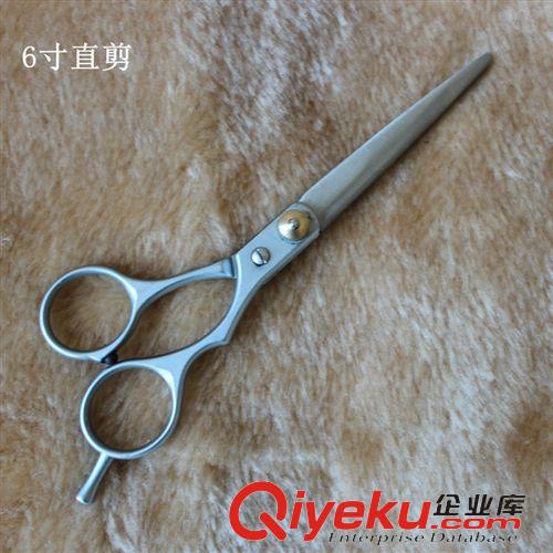寵物清潔用品 廠家直銷寵物直剪刀 美容美發剪刀 不銹鋼剪刀 6寸tj批發原始圖片2