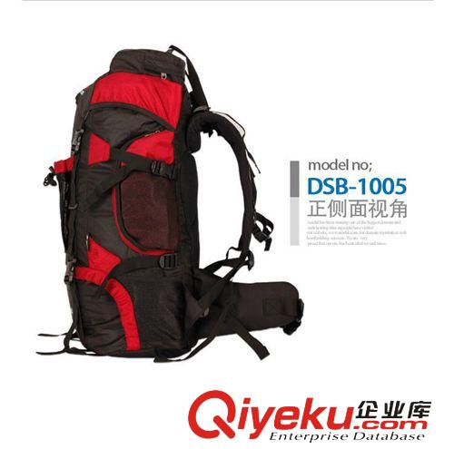 登山包 登高者zpEYE 雙肩背包 登山包60L戶外包休閑包E013