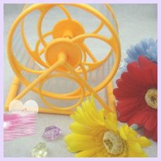 小動(dòng)物用品 批發(fā)寵物小動(dòng)物用品 倉(cāng)鼠靜音轉(zhuǎn)輪跑步機(jī) 透明履帶跑步機(jī) 彩色原始圖片3